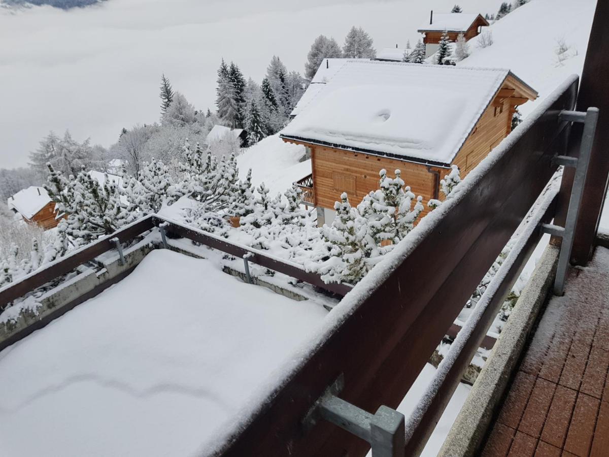 Les Collons1800- Bel Appart 2Pieces-4 Pers-Piscine-Sauna-Parking Int-Wifi Gratuit Vex Luaran gambar